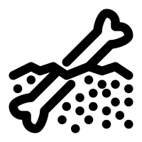 Plan C Page